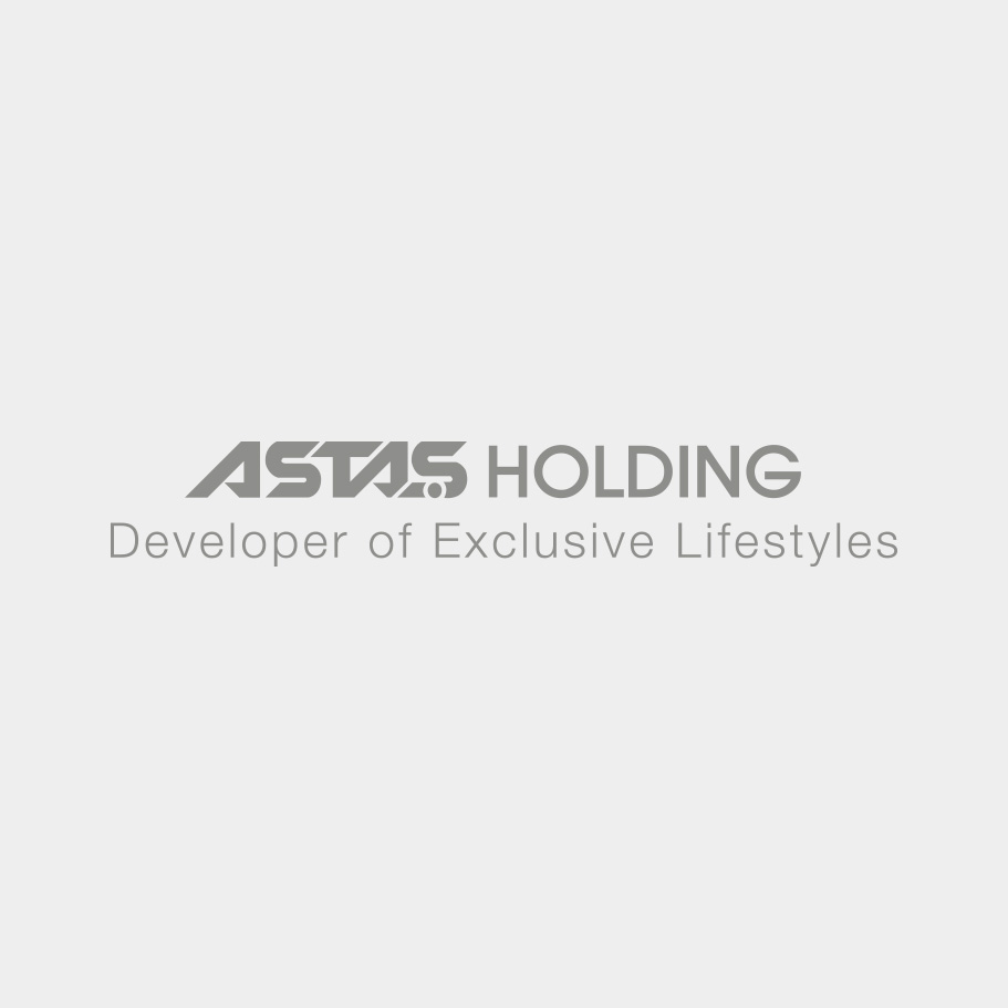 Astaş Holding - İş Hayatı