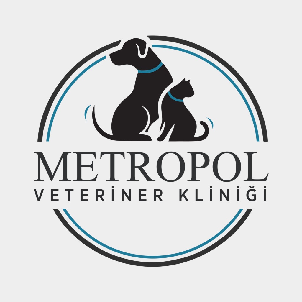 Metropol Veteriner – Projesi